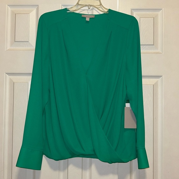 💗NWT Chelsea28 Surplice V-neck Long Sleeve Blouse Parakeet Green Size - XXL - Picture 1 of 10